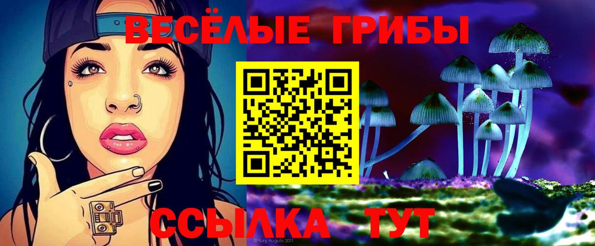 Галлюциногенные грибы GOLDEN TEACHER  сколько стоит  Курчалой  Вход с VPN 